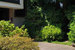 Zweifamilienhaus mit 200 m² Wohnfläche in Mönchengladbach/Schmölderpark – Steinrathshof 2, 41239 Schmölderpark, Mönchengladbach – Vorschaubild 3