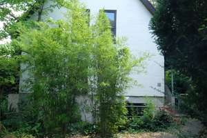 Freistehendes Architektenhaus in Toplage 135-m²,  4 ZKBGäWC, Kamin, 2 Terrassen, Balkon – Ernst-Neeb-Straße 10, 55131 Oberstadt, Mainz – Vorschaubild 26
