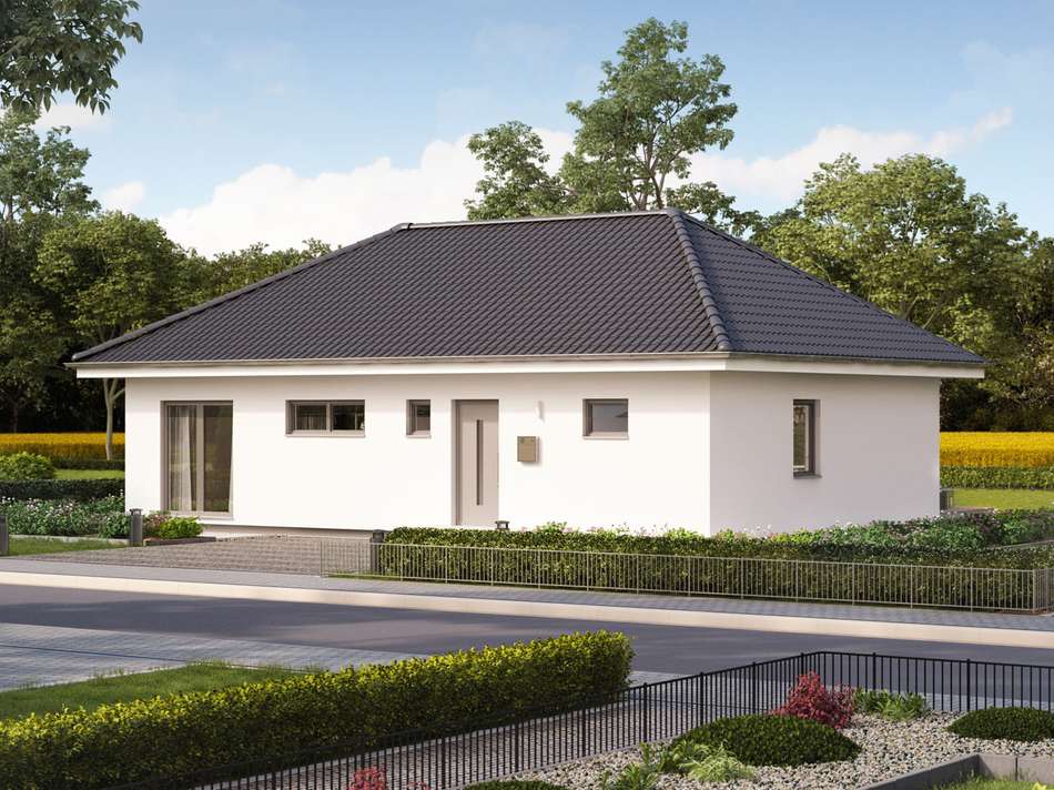 Bild-3