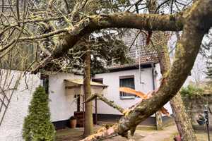 Grüne Oase mit eigenem Park  – Oberhavel (Kreis) – Vorschaubild 9