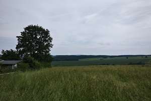 Mitte bewohnen, oben und unten kassieren – Freiheitsstr. 99, 8064 Cainsdorf, Zwickau – Vorschaubild 8