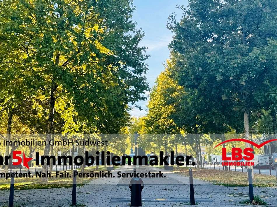 grüne Allee direkt vor der Ha