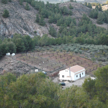 Eingeschossiges Haus mit 8.000 m² Grundstück in Purchena, Almería.