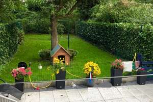 Property thumbnail 3