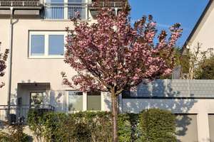 Wiesbaden Frauenstein - Großzügiges Endhaus für junge Familien – Die vollständige Adresse der Immobilie erhältst du vom Anbieter., 65201 Frauenstein, Wiesbaden – Vorschaubild 3