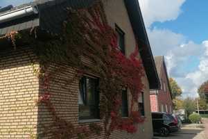 Sehr schönes Zweifamilienhaus in Sendenhorst-Albersloh mit Ausbaureserve im Kellergeschoss – Warendorf (Kreis) – Vorschaubild 5