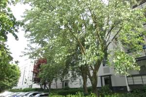 Kleines Familien-Apartment mit Wannenbad und Balkon - leider ohne Aufzug! – Zossener Straße 168, 12627 Hellersdorf, Berlin – Vorschaubild 10