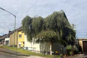 Mehrfamilienhaus in guter Lage von Siegen – Siegen-Wittgenstein (Kreis) – Vorschaubild 1