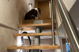 Wohnen mit Charakter: Modernisiertes Haus in Aalen – Kollmannweg 5, 73432 Unterkochen, Aalen – Vorschaubild 17