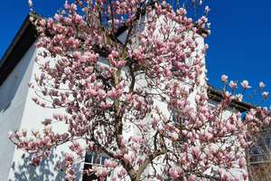 Ihr neues Zuhause: helle Wohnung in ruhiger Lage nahe U-Bahn