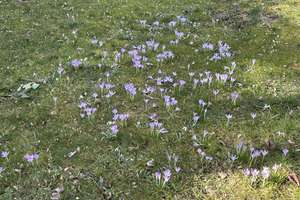 Property thumbnail 60