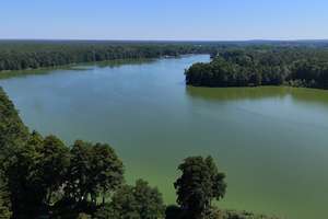 Ferienbungalow am Klostersee – Naturidyll mit Wintergarten und Kamin – Die vollständige Adresse der Immobilie erhältst du vom Anbieter., 14797 Kloster Lehnin – Vorschaubild 4