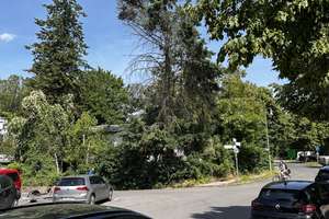1. Reihe am Wannsee mit Seeblick – Imchenplatz 4, 14089 Kladow, Berlin – Vorschaubild 33