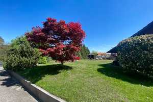 KL - Erlenbach, freistehendes EFH, 8 ZKB, 3 Bäder, großer Garten, Kellerbar, Garage – Kaiserslautern – Vorschaubild 26