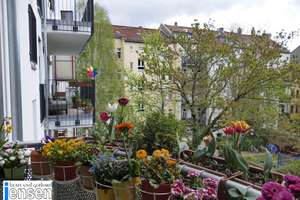 ETW Leipzig- Schleußig von privat – 4229 Schleußig, Leipzig – Vorschaubild 1