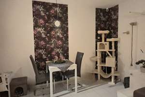 2 Zimmer Wohnung in Edigheim  – Die vollständige Adresse der Immobilie erhältst du vom Anbieter., 67069 Edigheim, Ludwigshafen am Rhein – Vorschaubild 3