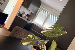Gepflegtes Mittelreihenhaus in familienfreundlicher Lage in Ettlingen West – 76275 Ettlingen – Vorschaubild 5