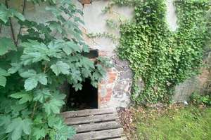 Historischer Hof mit Brauerei in Dähre Ein Ort, an dem Geschichte und Zukunft sich die Hand geben – Die vollständige Adresse der Immobilie erhältst du vom Anbieter., 29413 Dähre – Vorschaubild 5