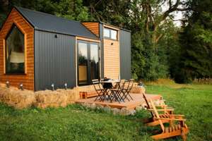 Wunderschönes Gartengrundstück mit Tiny Haus – Die vollständige Adresse der Immobilie erhältst du vom Anbieter., 99817 Neuenhof-Hörschel, Eisenach – Vorschaubild 8