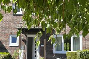 Familienhaus im Zooviertel – Die vollständige Adresse der Immobilie erhältst du vom Anbieter., 40237 Düsseltal, Düsseldorf – Vorschaubild 26
