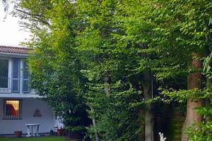 Idyllisches Arzthaus im Landhausstil, Pool – Die vollständige Adresse der Immobilie erhältst du vom Anbieter., 45966 Gladbeck – Vorschaubild 84