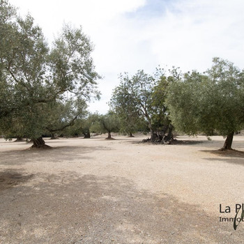 Rustikales Anwesen Les Coves mit Haus zum Verkauf in La Galera Tarragona