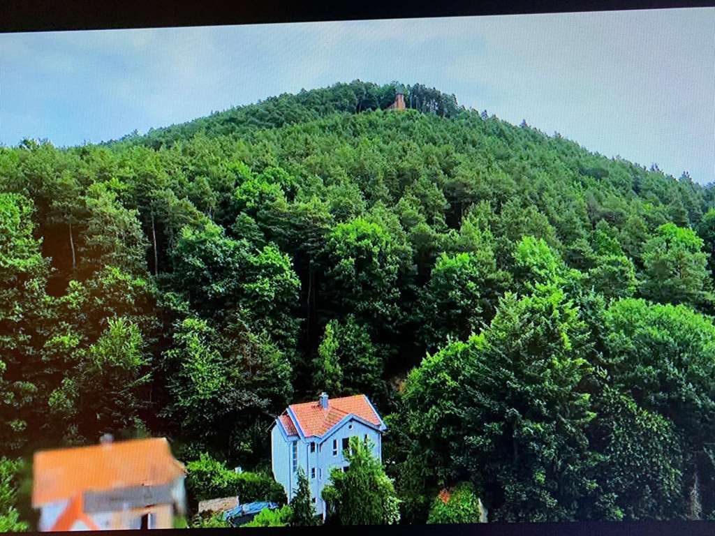 Immobilie in Birkenhördt - Von Privat: Charmantes und top gepflegtes Einfamilienhaus mit Weitblick und Garten in Birkenhördt - Bild 0