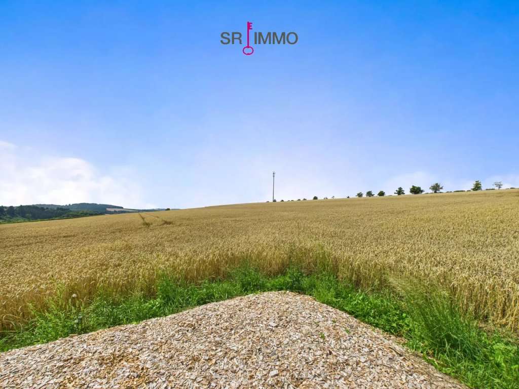 Immobilie in Daleiden - Wohnen am Rande der Natur – modernes Einfamilienhaus mit Weitblick in Daleiden - Bild 3