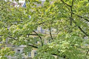 Ein Zuhause mit Altbaucharme - stilvoll saniert im Florakiez – Brehmestraße 64, 13187 Pankow (Ortsteil), Berlin – Vorschaubild 11