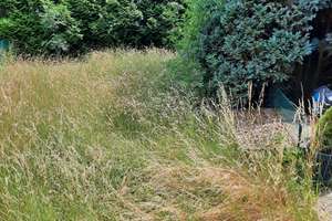 IMMOKONZEPT-NIEDERRHEIN:  2 Familienhaus -- oben vermietet -- großer Garten -- überlange Garage..... – Saalhoffer Str. 69a, 47495 Rheinberg – Vorschaubild 37