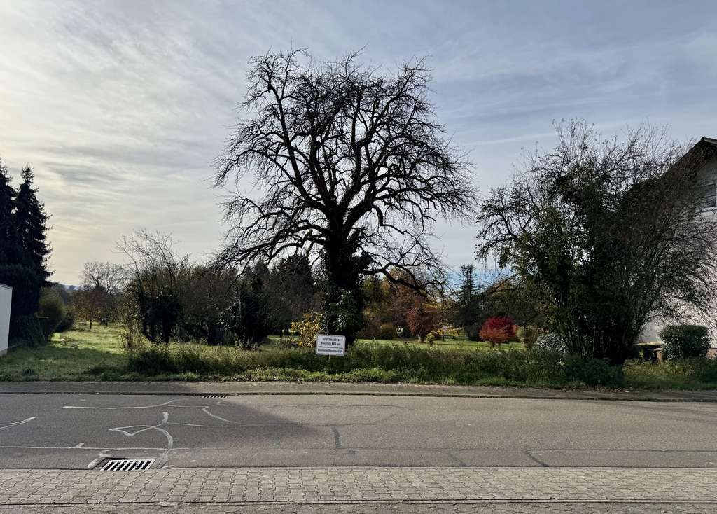Baugrundstück mit angrenzender landwirtschaftlicher Fläche