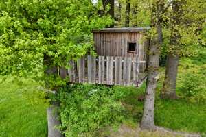Schöner, renovierter Resthof auf 9146 m² Grundstück - Scheune/Stall/Halle, PV-Anlage, Salzwasserpool – Gifhorn (Kreis) – Vorschaubild 18