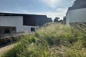 Charmantes, großzügiges Anwesen mit 2 Wohnhäusern, Scheune, Lager/Werkstatt (alte Stallungen) – Wollweg 3, 53902 Euskirchen (Kreis) – Vorschaubild 12