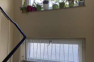 Top-Innenstadtlage! Stilvolle 2-Zimmer-Wohnung mit Balkon & Einbauküche – Ideal für 2er-WG, Heumarkt – Peter-Welter Platz 1, 50676 Altstadt/Süd, Köln – Vorschaubild 3