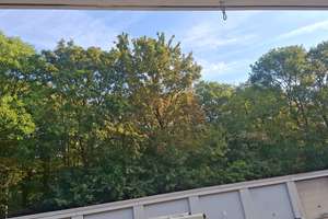 Wohnen mit Charakter: Großzügige 5-Zimmer-Wohnung in Köln-Longerich – Stommeler Str. 28, 50739 Longerich, Köln – Vorschaubild 7