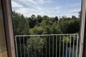 Ihr Blick in Grün und auf den Garchinger Mühlbach - zentrums- wie naturnah in Schwabing-Freimann – Die vollständige Adresse der Immobilie erhältst du vom Anbieter., 80939 Obere Isarau, München – Vorschaubild 14