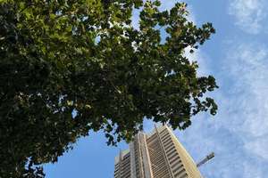 AXA-Hochhaus – Die vollständige Adresse der Immobilie erhältst du vom Anbieter., 50735 Riehl, Köln – Vorschaubild 21