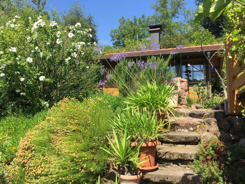 Immobilie in Bundenthal - Ein kleines Paradies im Pfälzer Wald ... 1-3 WE im Bio-Doppelblockwandhaus !!! - Bild 4