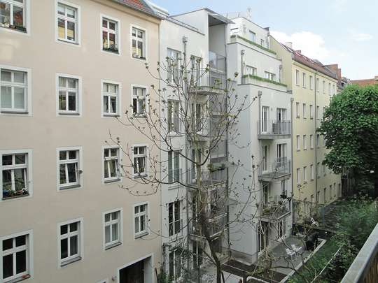 Single wohnung berlin prenzlauer berg
