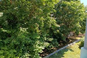 1 Zi-Whg. | im Grünen | Frisch renoviert | Balkon | Ideal für Singles | TG – Barnecker Straße 17, 4178 Böhlitz-Ehrenberg, Leipzig – Vorschaubild 7