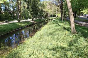 Obermenzing am Nymphenburger Kanal - freie 3-Zimmer-Wohnung im 1. OG mit TG-Stellplatz Baujahr: 2003 – Marsopstraße 2b, 81245 Obermenzing, München – Vorschaubild 7