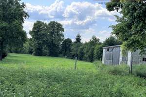 Top! Historische Mühle mit Herrenhaus, Scheune und viel Platz - Denkmalgeschützt – Die vollständige Adresse der Immobilie erhältst du vom Anbieter., 91086 Aurachtal – Vorschaubild 25