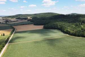 Ländlicher 3-Seiten-Hof zur Sanierung – Wohnhaus, Hofareal, Stallungen und 5.000 m² Wald! – Neustadt a.d. Aisch-Bad Windsheim (Kreis) – Vorschaubild 39