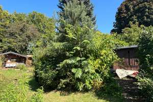 PREISREDUZIERUNG! Bungalow mit ELW und großem Garten in Bad Sobernheim zu verkaufen – Die vollständige Adresse der Immobilie erhältst du vom Anbieter., 55566 Bad Sobernheim – Vorschaubild 24