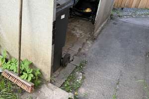 3-Fam. Haus - ideal für Anleger – Die vollständige Adresse der Immobilie erhältst du vom Anbieter., 74076 Heilbronn, Heilbronn – Vorschaubild 3