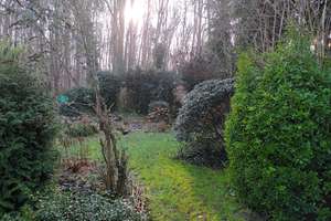 Property thumbnail 15