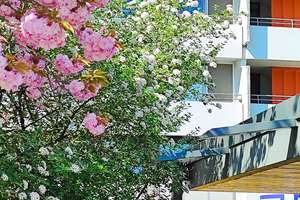2 Bäder! 5-Zimmer! Gläsernes Home-Office, junge Küche, Topzustand, Waldblick + Einrichtg.angebot… – Im Asemwald 54, 70599 Asemwald, Stuttgart – Vorschaubild 75
