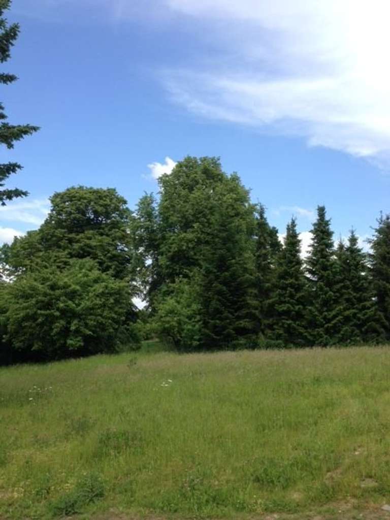 Immobilie in Jöhstadt - FAMILIENGLÜCK BEGINNT MIT IHRER ENTSCHEIDUNG FÜR DEN BAU DES  EIGENEN HAUSES! TEL.:  0171 4863595    - Bild 3