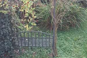 Reihnmittelhaus mit 200qm Garten im Herzen Düsseldorfs – Boschstrasse 23, 40589 Holthausen, Düsseldorf – Vorschaubild 2
