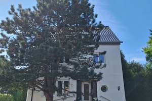 Kernsaniertes Familienhaus mit Energieklasse A+, Parkgrundstück und Süd-West-Terrasse am Eller Forst – Die vollständige Adresse der Immobilie erhältst du vom Anbieter., 40627 Vennhausen, Düsseldorf – Vorschaubild 2